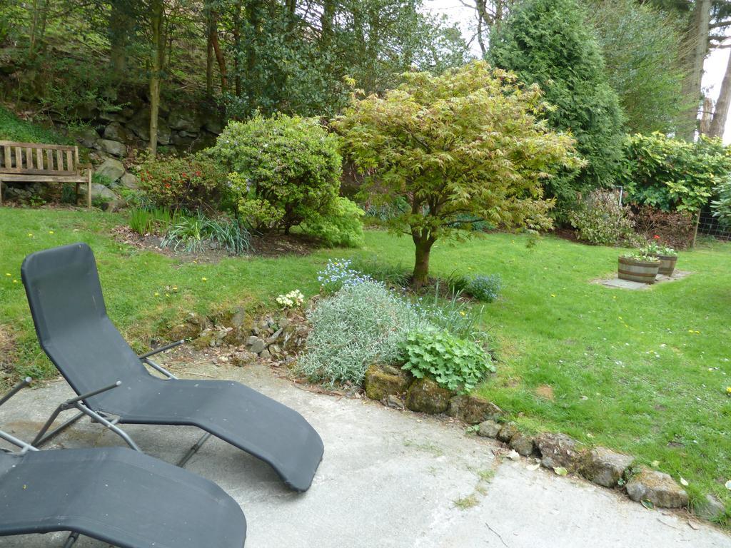 Bronfelin & Troed-Y-Rhiw Holiday Cottage Llanwrtyd Wells Екстер'єр фото