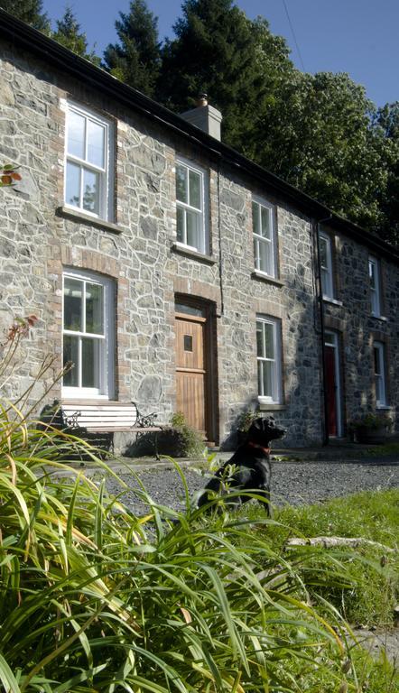 Bronfelin & Troed-Y-Rhiw Holiday Cottage Llanwrtyd Wells Екстер'єр фото